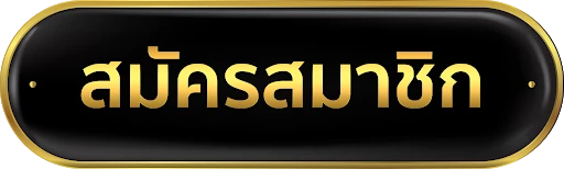 maxsport vip